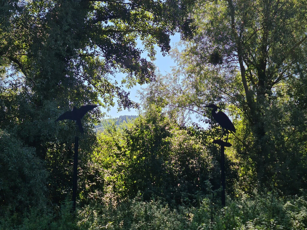 Chemin Des Marais De La Véronnière Et Du Courbon