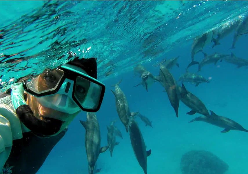 Sataya Dolphin Reef-马萨阿拉姆必去景点