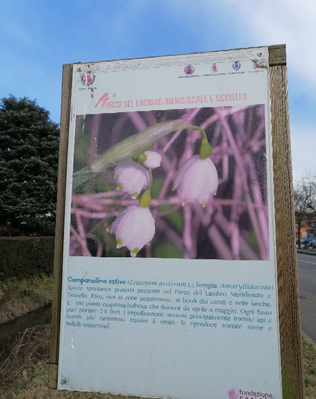 Parco del Lambro Meridionale e del Ticinello-Siziano必去景点