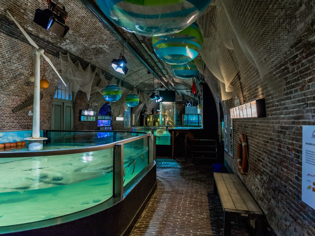 Fort Kijkduin (Museum and Aquarium)景点图片