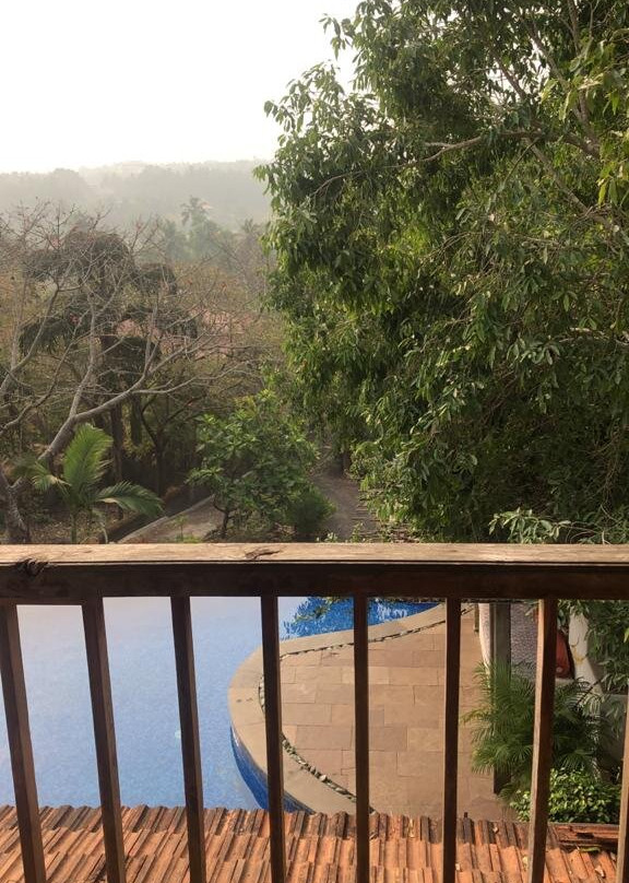 Capella Forest Retreat & Homestay主图