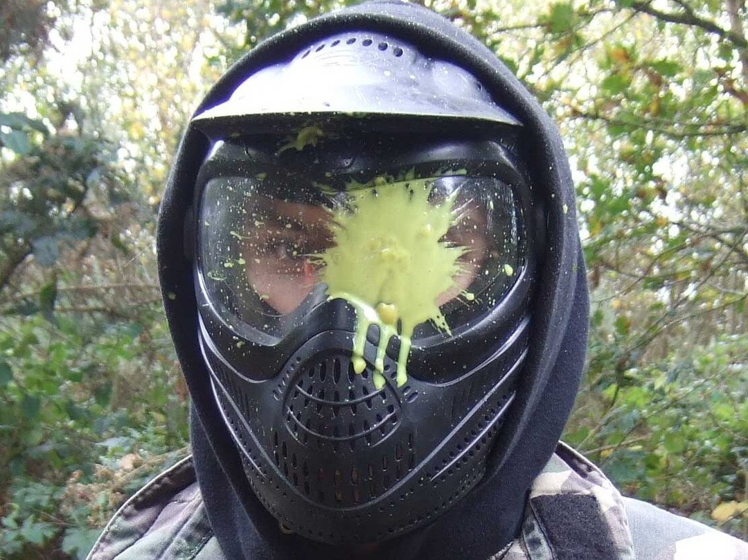 Mega Paintball景点图片