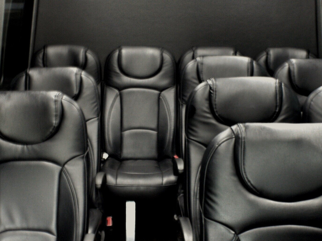 Hamptons Wine Tour-Flanders必去景点