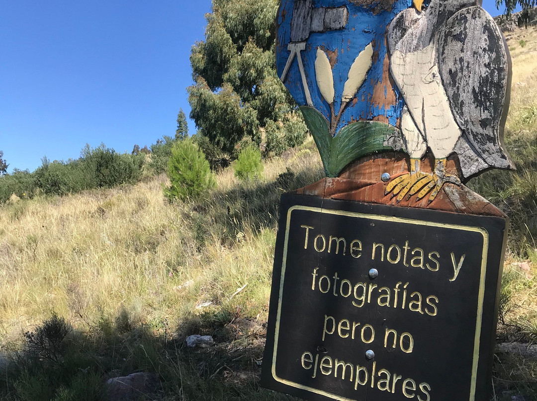 Ascenso al Cerro Bahia Blanca景点图片
