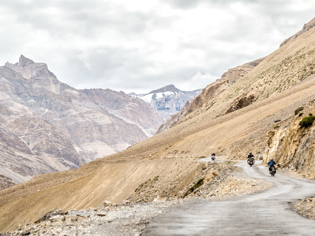 Motorcycle Tours by Wild Triumph景点图片