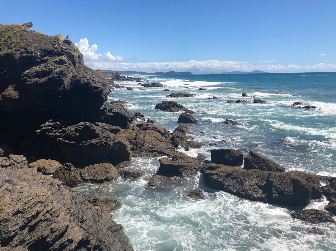 Te Arai Point