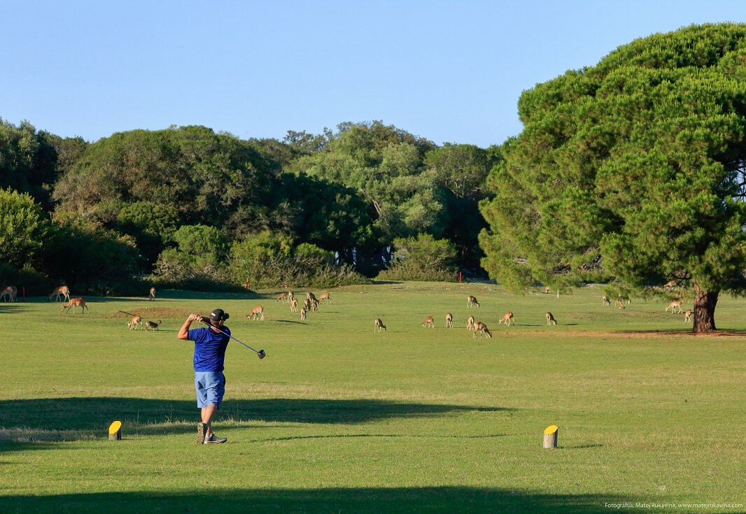 Brijuni Golf Course, NP Brijuni