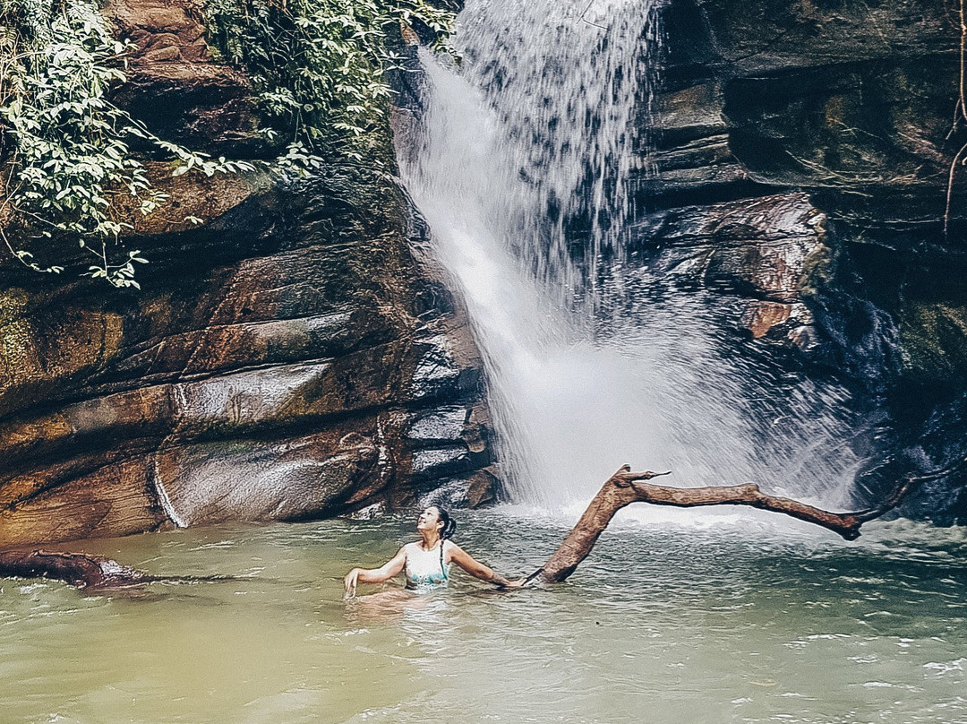 Cachoeira das Andorinhas景点图片