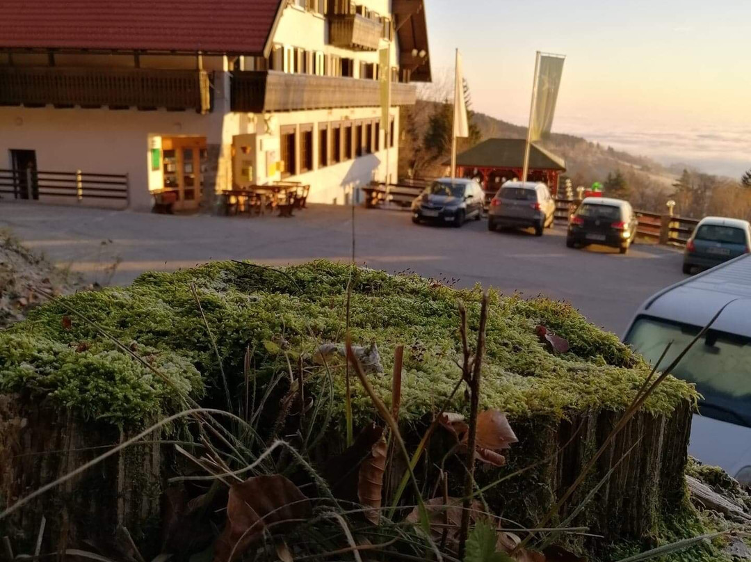Hotel Tisa Hočko Pohorje主图