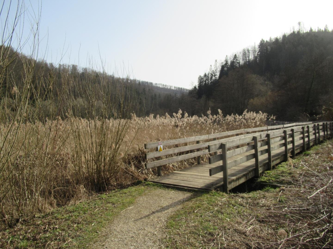 Etang de Lucelle景点图片