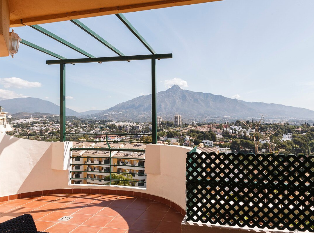 Senorio de Aloha主图