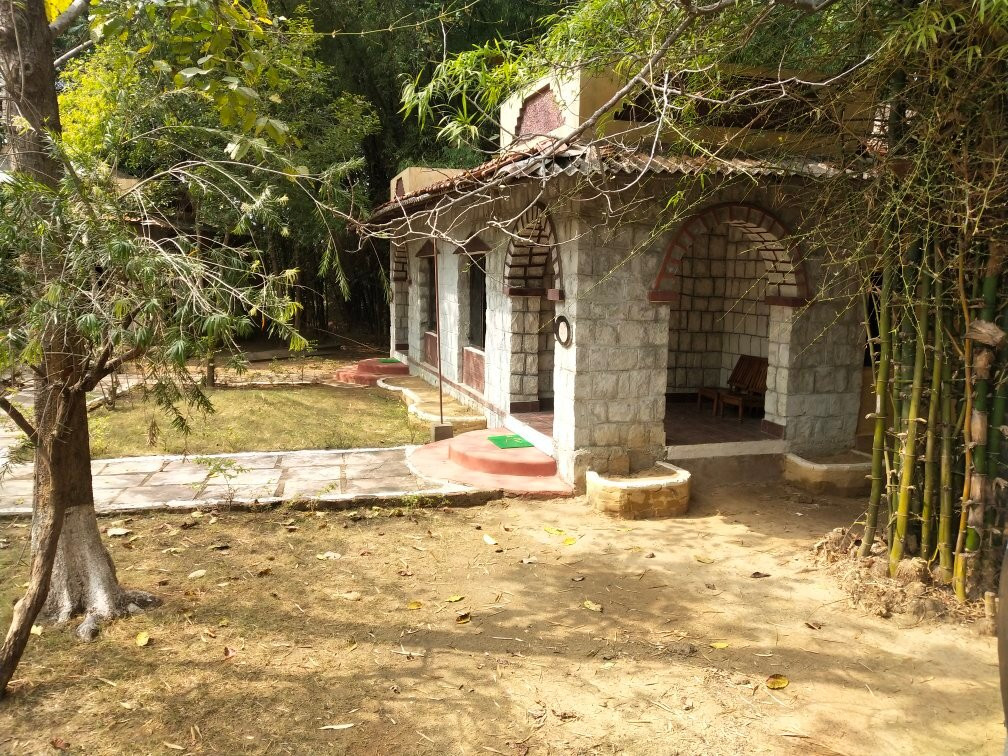 Jungle King Resort主图