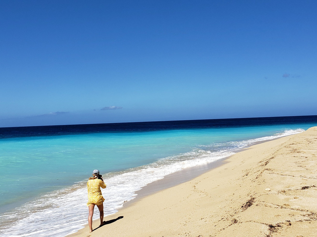 Sandy Point Beach And National Wildlife Refuge-圣克鲁斯必去景点