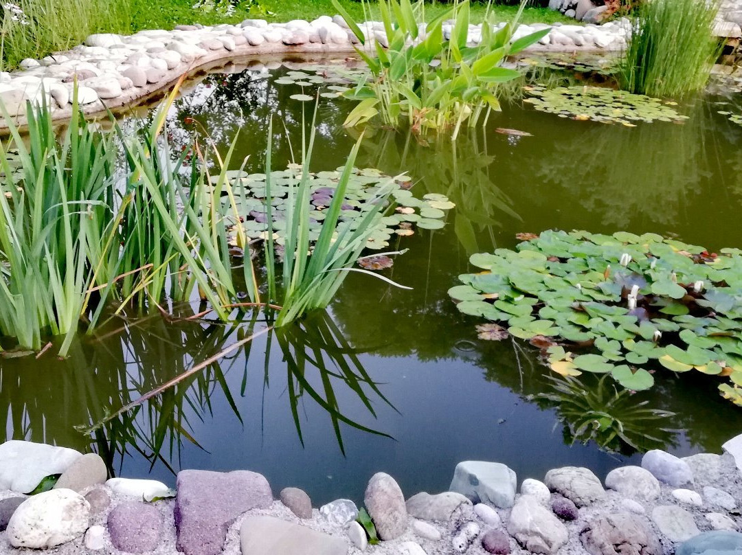 Giardino di Olga主图