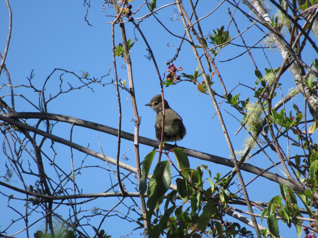Lago Maihue-Futrono必去景点
