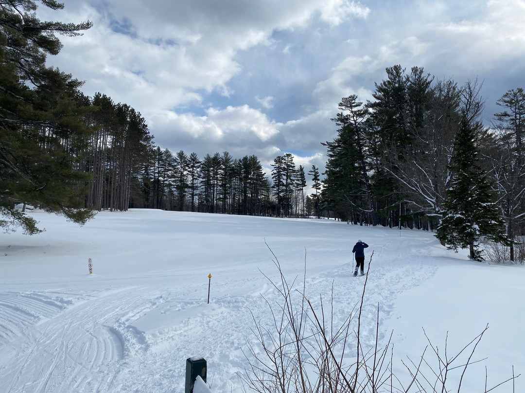 The Bethel Resort & Suites主图