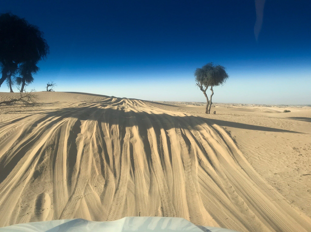 Royal Planet Tours & Safaris-迪拜必去景点