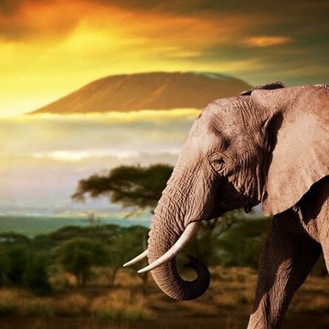 loveafricaexpedition-莫西必去景点