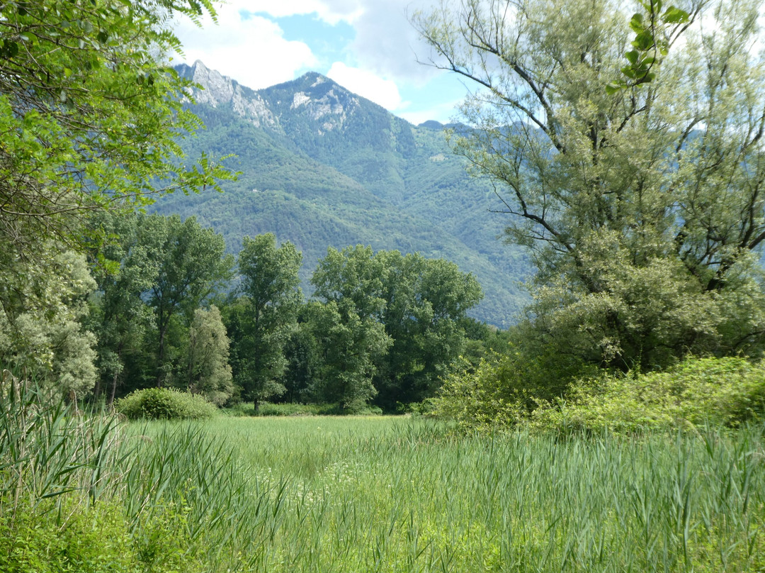 Naturreservat Bolle die Magadino景点图片