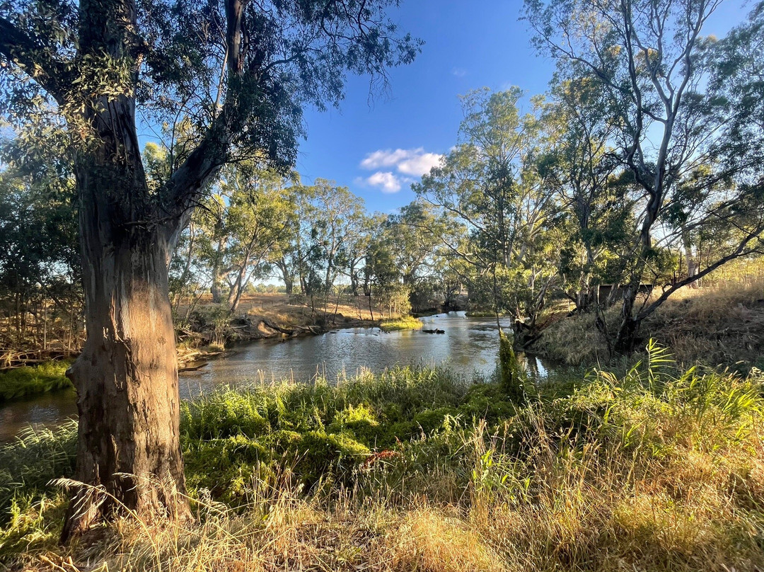 Axedale River Reserve-Axedale必去景点