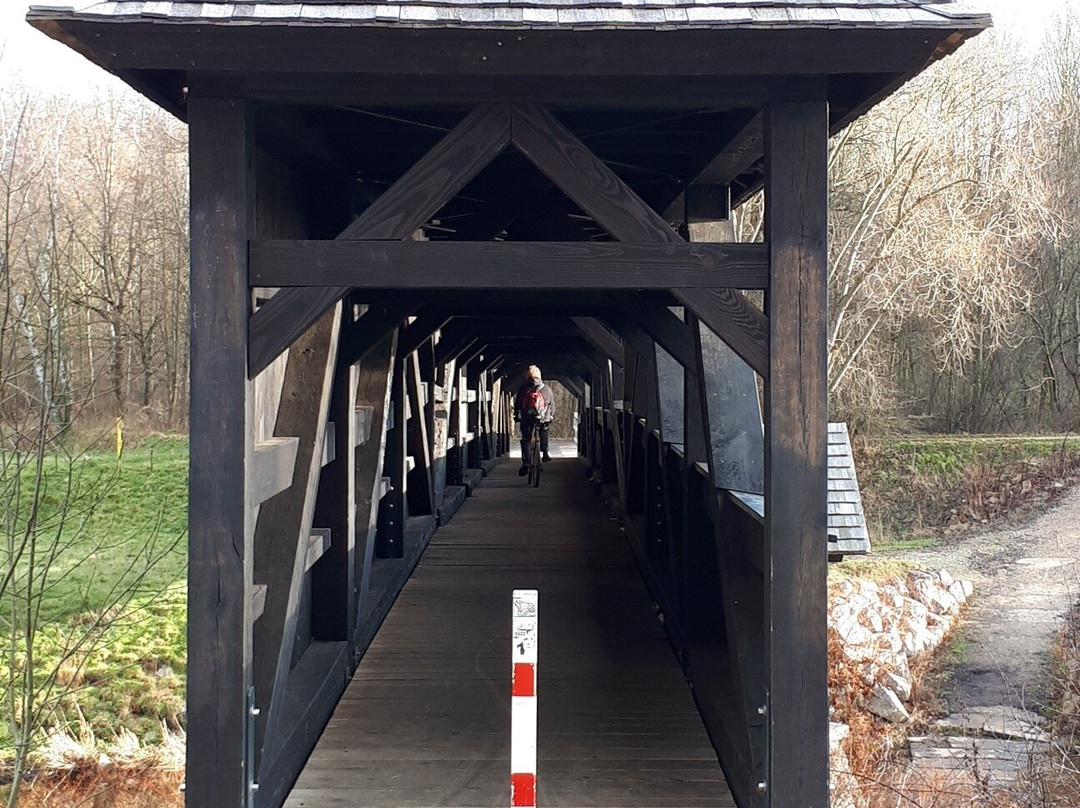Röhrensteg Wooden Bridge-Zwickau必去景点