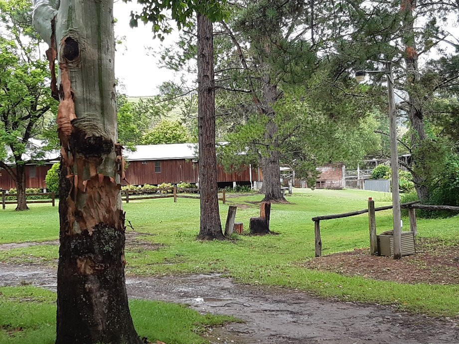 Riverwood Downs Mountain Valley Resort主图