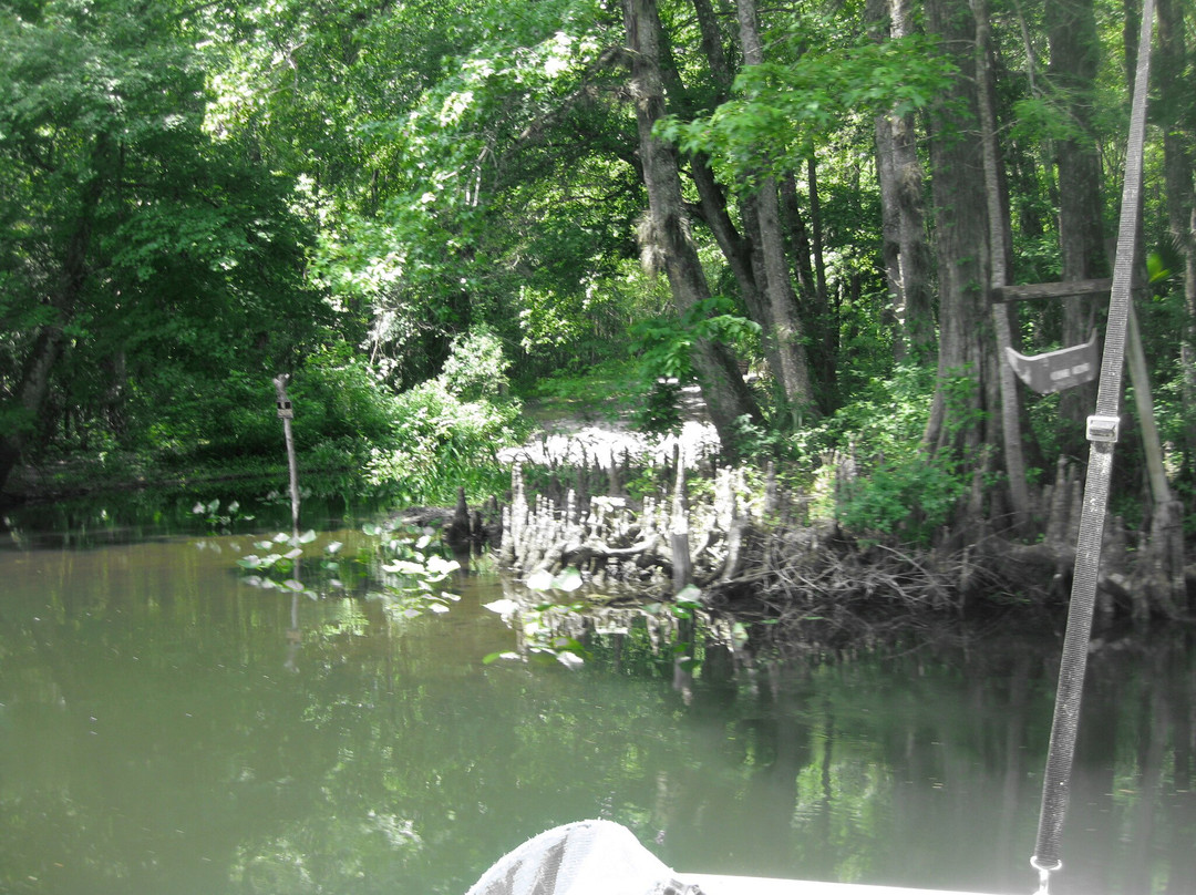 A Cruising Down The River-Fort McCoy必去景点