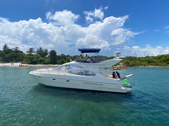 Salt Tribe Charters - Jupiter Luxury Cruises-朱庇特必去景点