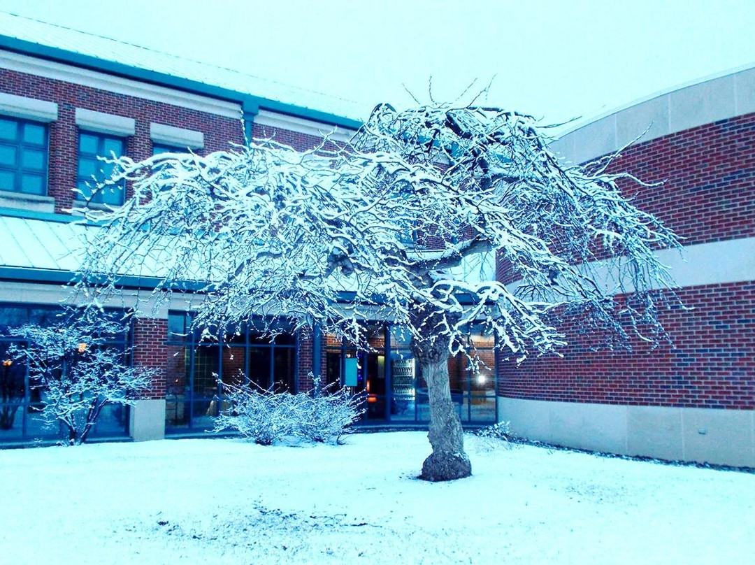 Rochester Hills Public Library-罗切斯特必去景点