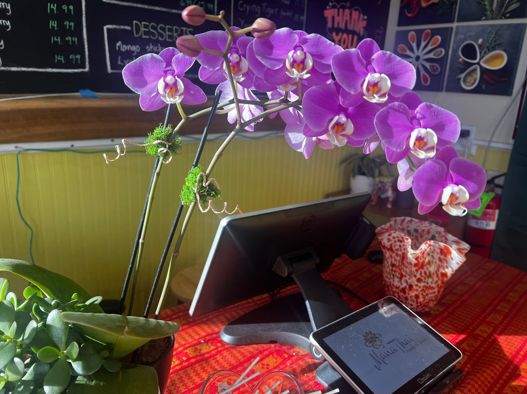 Mana Thai Comfort Food