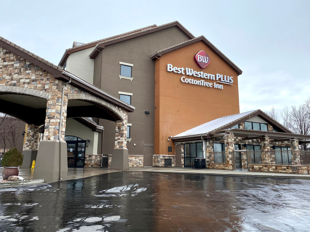 木棉树贝斯特韦斯特酒店主图