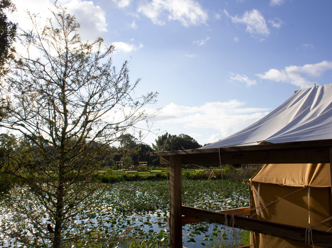 Phipps Park Campground