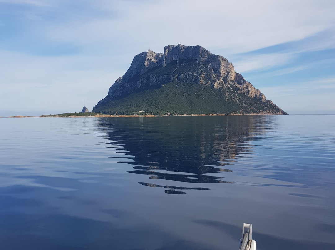 L'Area Naturale Marina Protetta Tavolara - Punta Coda Cavallo-奥尔比亚必去景点