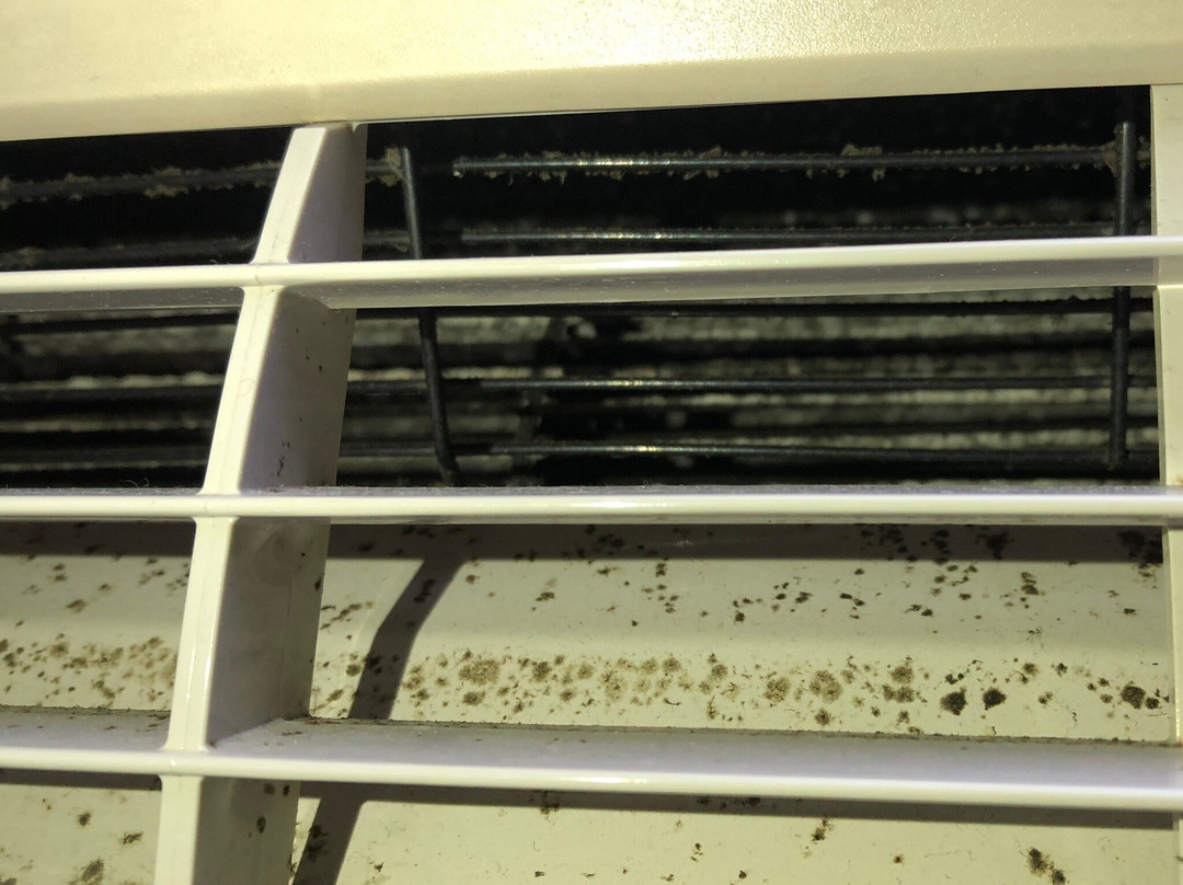 Hyatt Place Chantilly / Dulles Airport - South主图