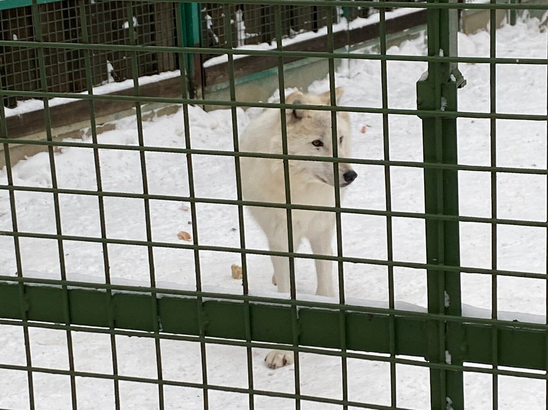 Zoo Park in Kostroma景点图片
