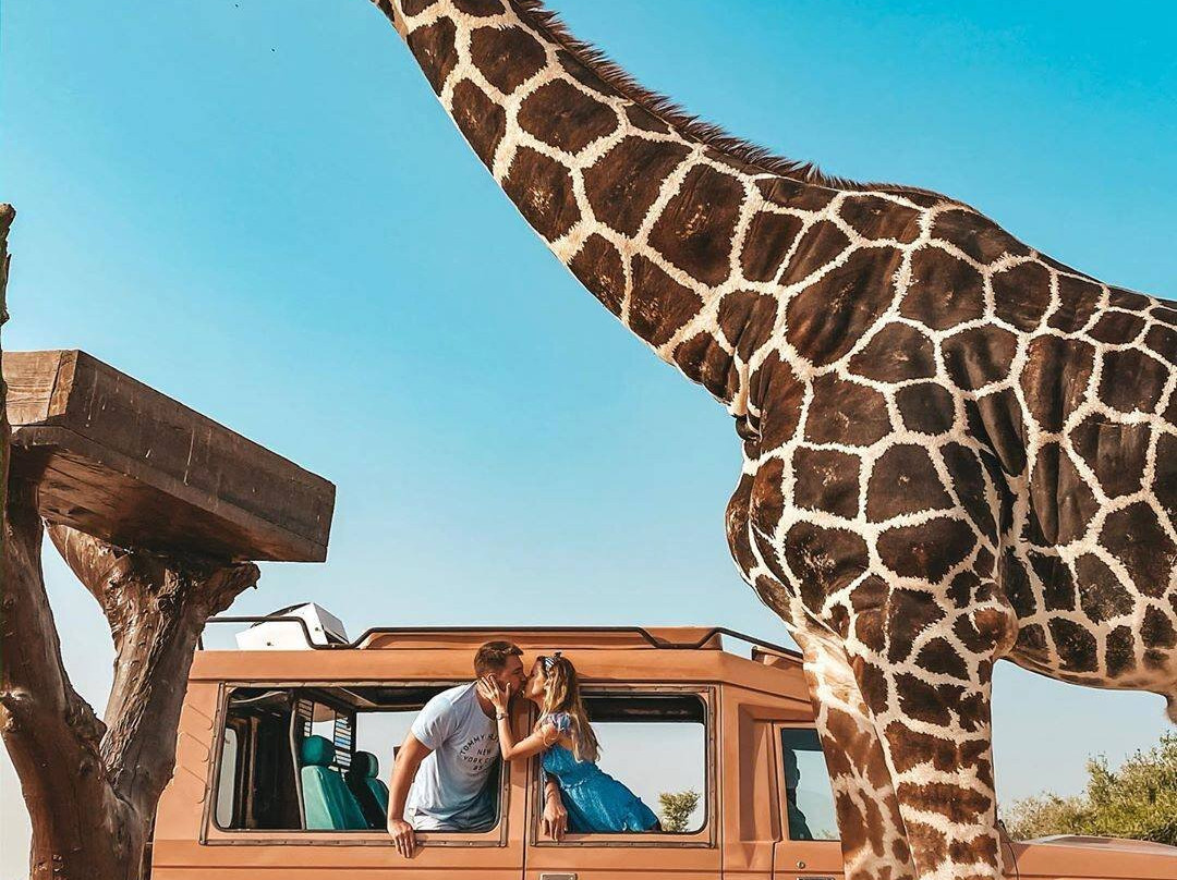 Al Ain Zoo 2017 2018 2019-艾因市必去景点