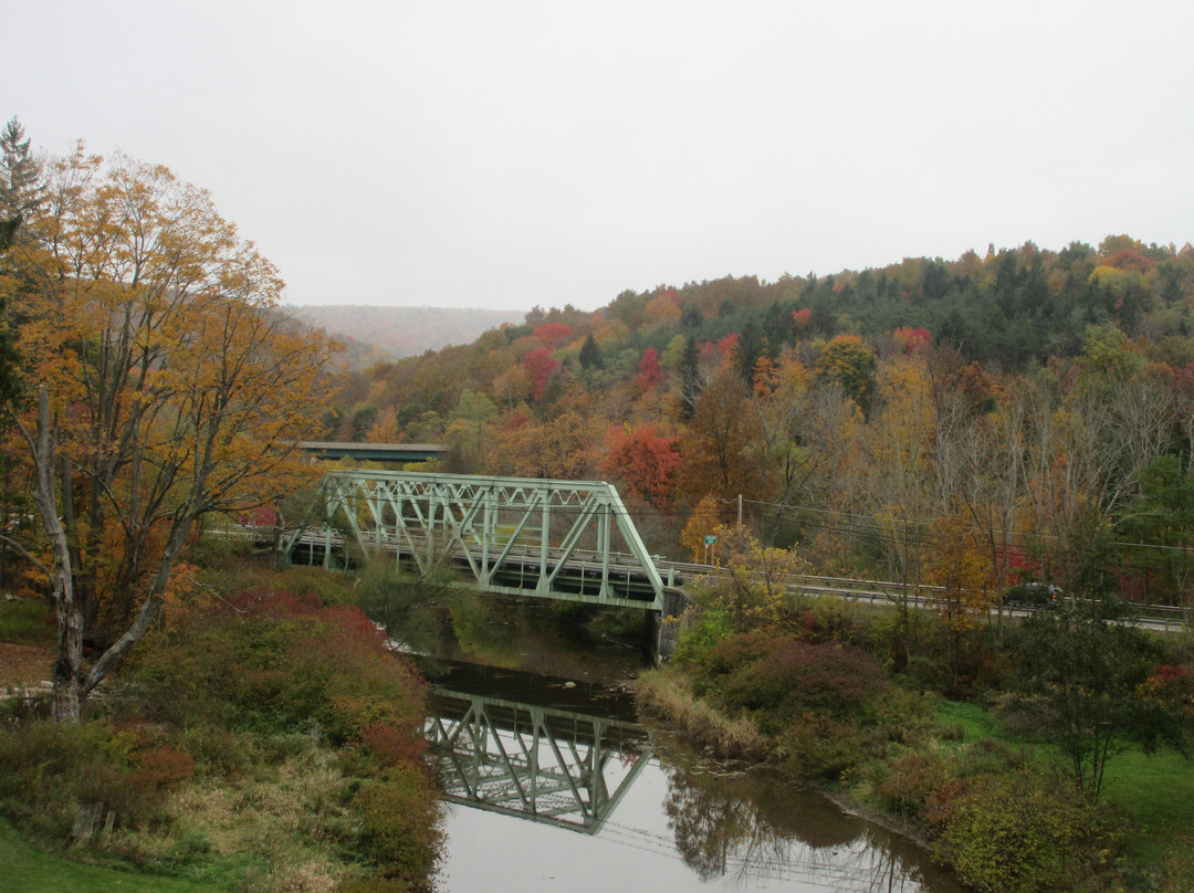 Casselman River Bridge State Park景点图片