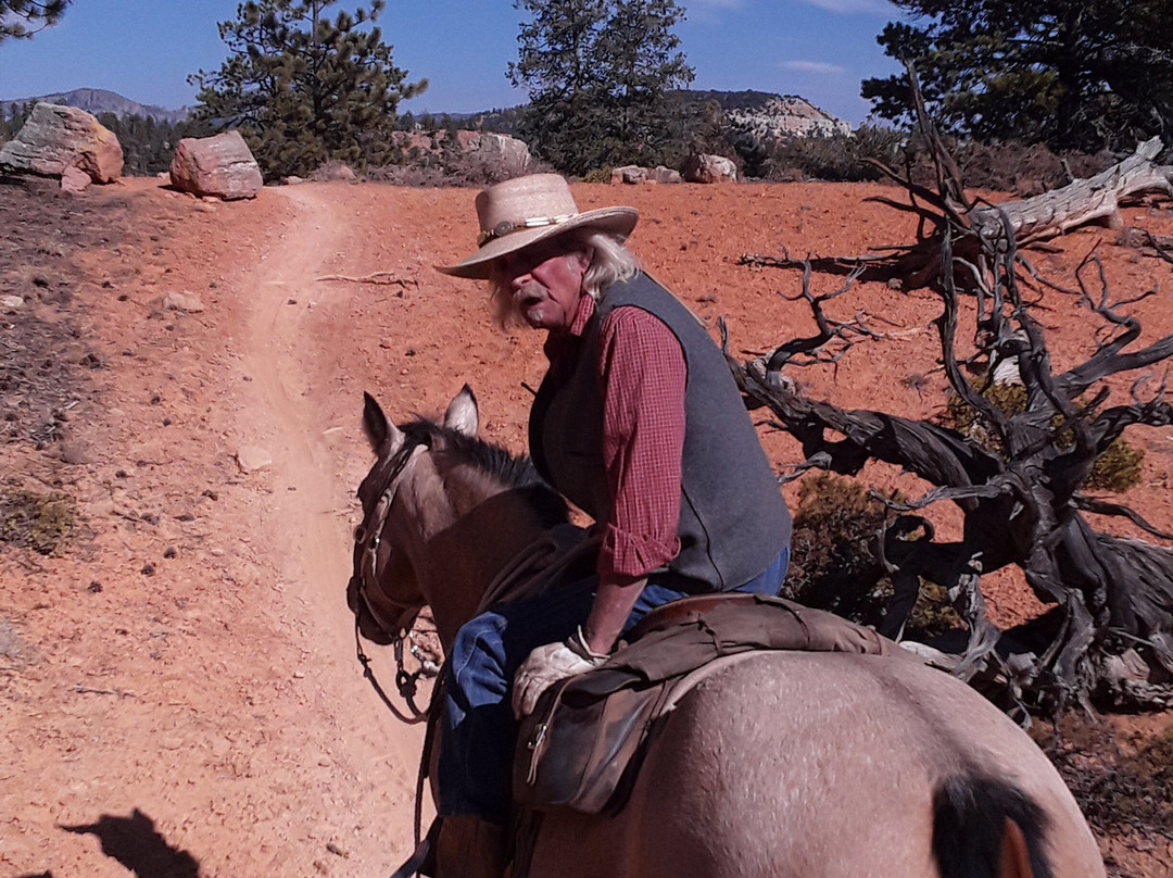 布莱斯峡谷松树酒店主图