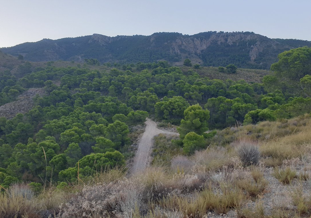Mirador Cabezo de la Caracola