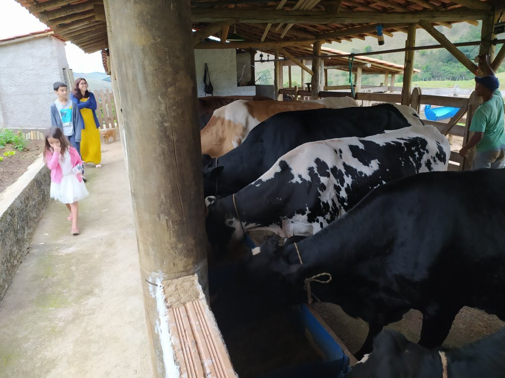 Quinta Do Papagaio主图