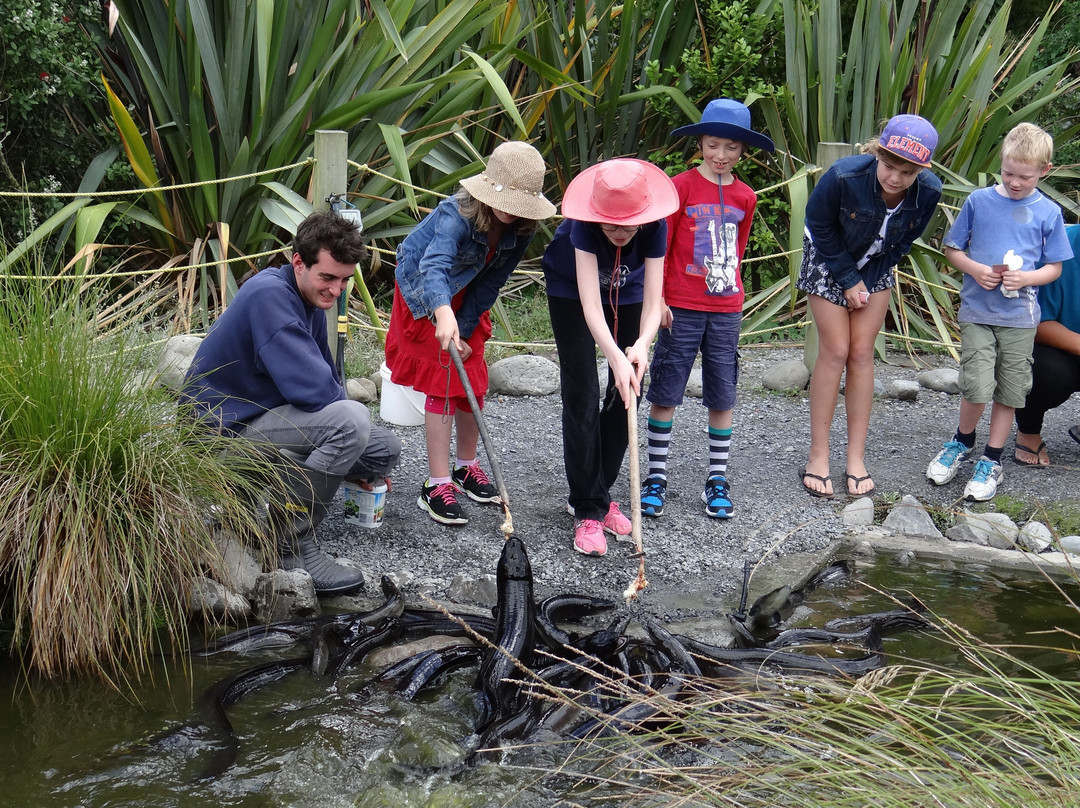 Ngā Manu Nature Reserve-怀卡尼必去景点