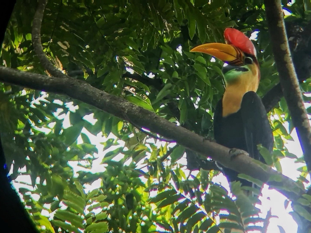 Tangkoko Ranger Homestay主图