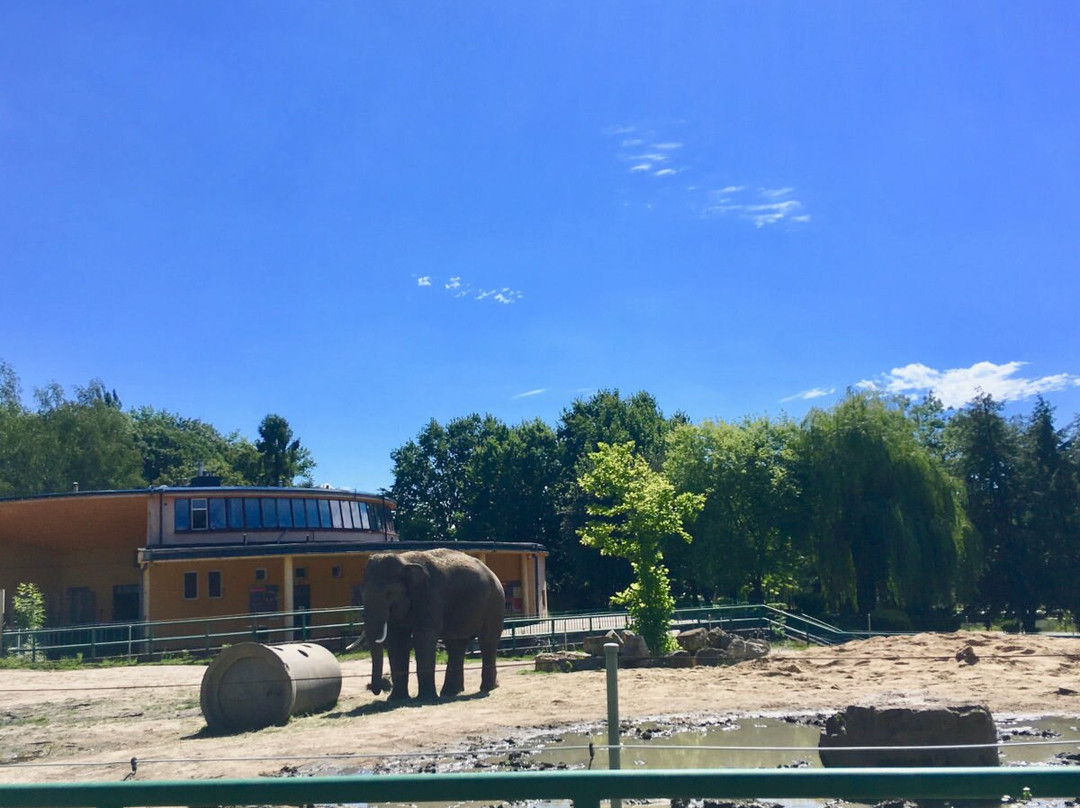 Silesian Zoological Garden-Chorzow必去景点