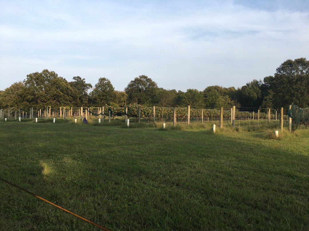Gemeny Winery And Vineyards景点图片