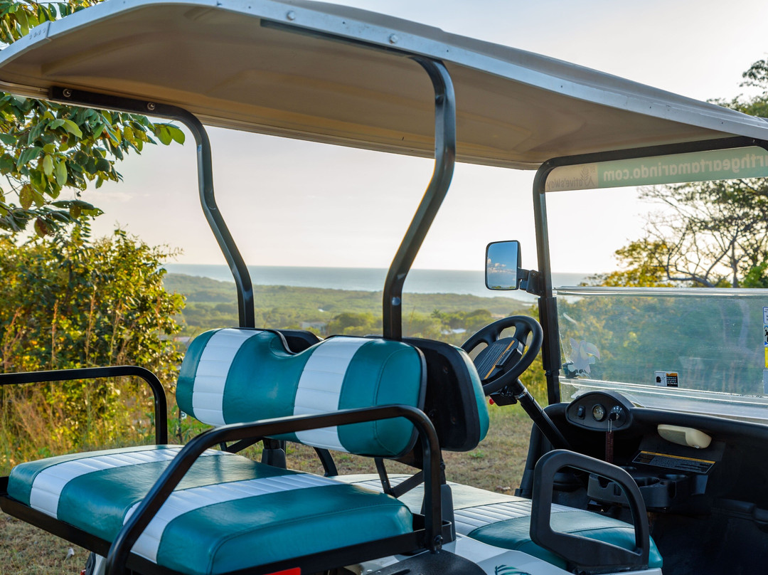 Earth Gear Golf Cart Rental Tamarindo景点图片