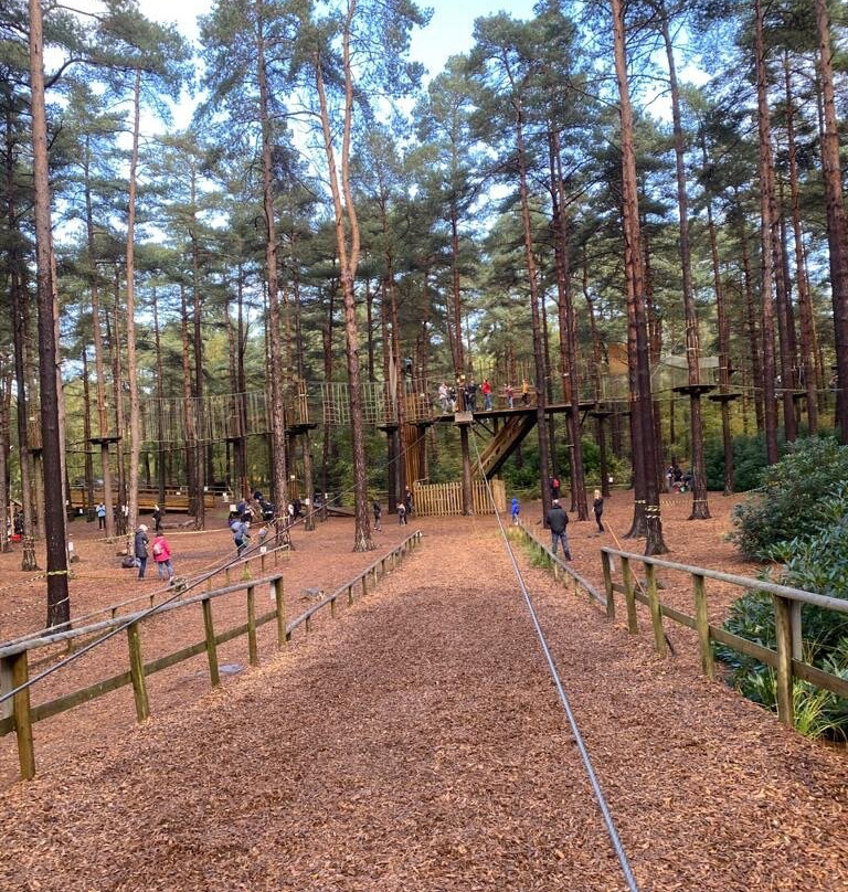 Go Ape Bracknell-布拉克内尔必去景点