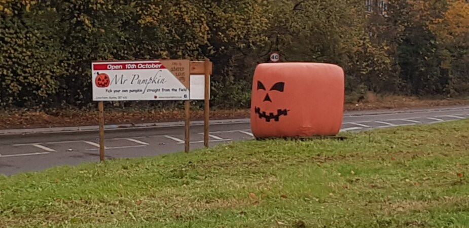 Mr Pumpkin-Morley必去景点