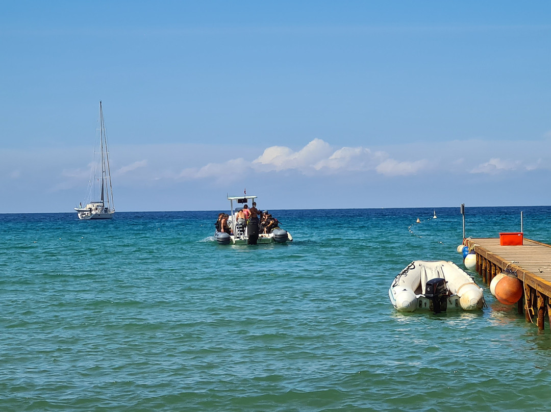 Stabilimento Balneare Il Delfino景点图片