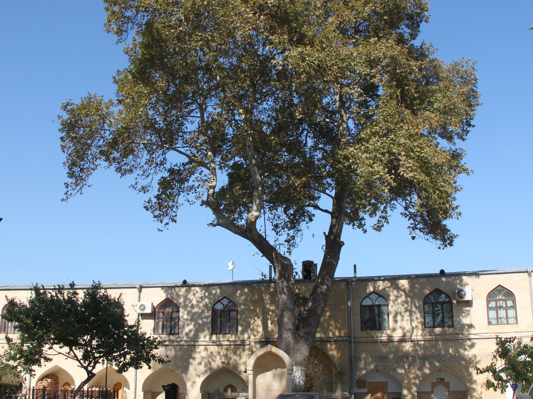 Derbent Dzhuma-Mosque景点图片