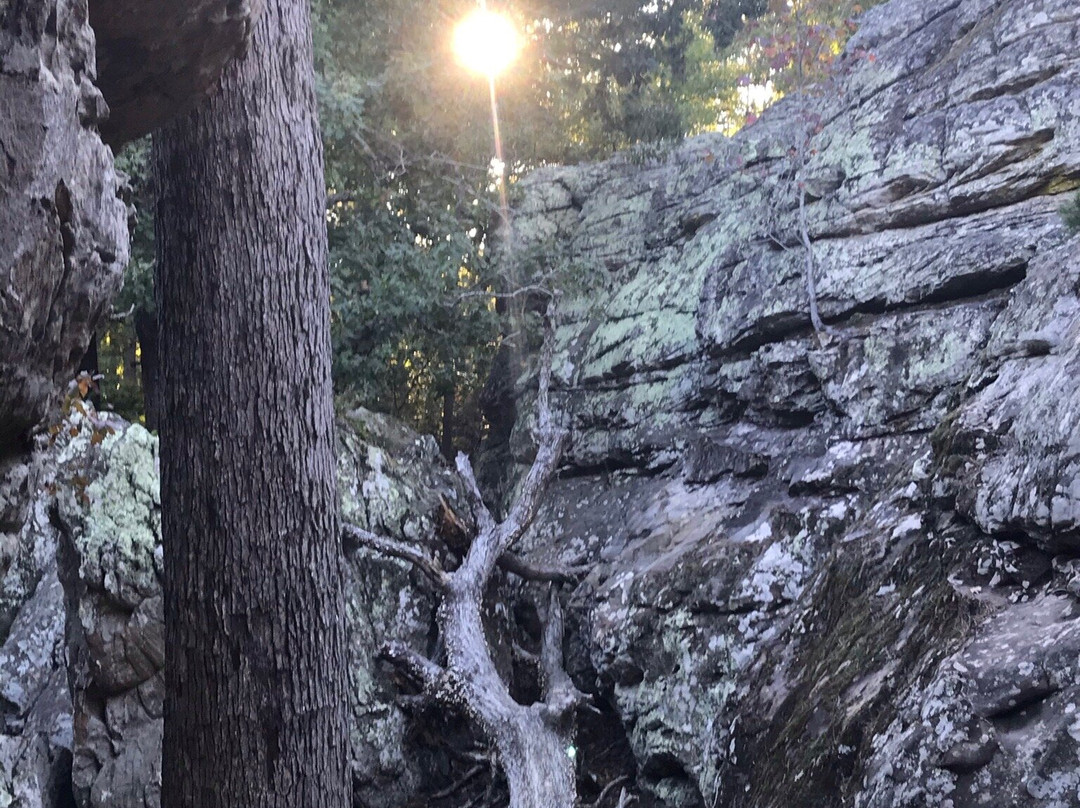 Bear Cave Trail-Morrilton必去景点